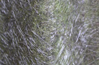 Reculver fibreglass roof work